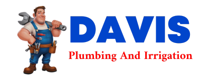 Trusted plumber in MC LEOD